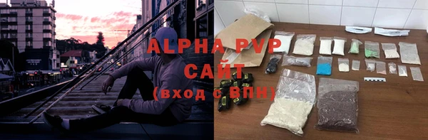 ПСИЛОЦИБИНОВЫЕ ГРИБЫ Тында