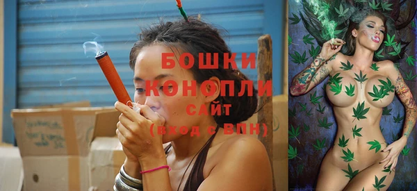 не бодяженный Дмитриев