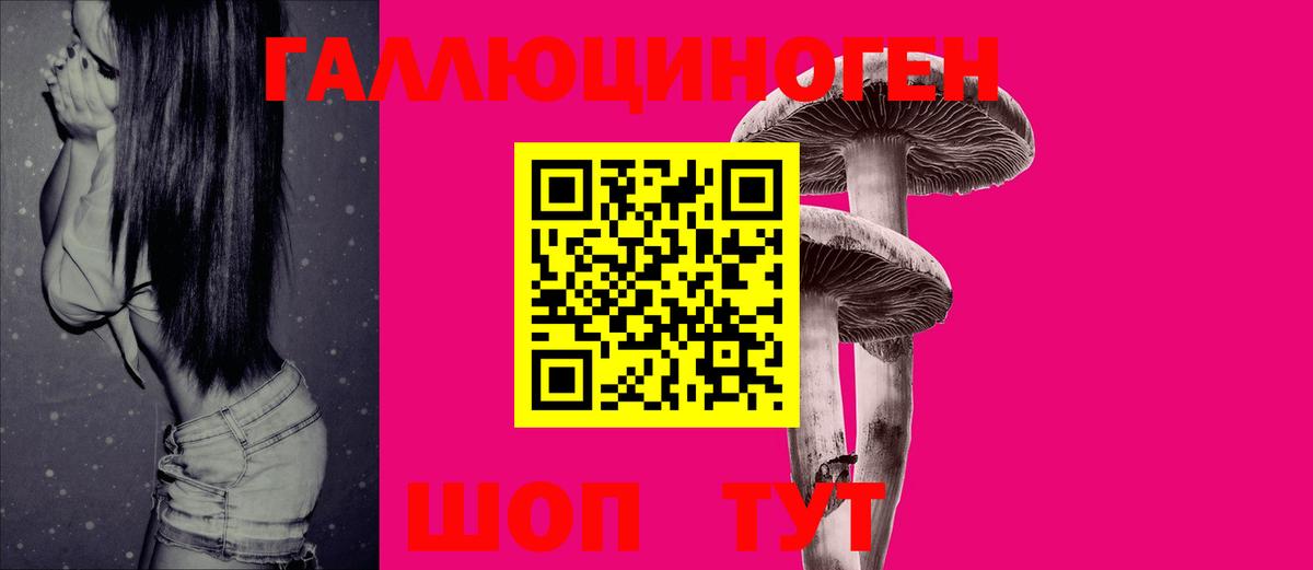 Осинники  Галлюциногенные грибы прущие грибы  Вход с VPN 